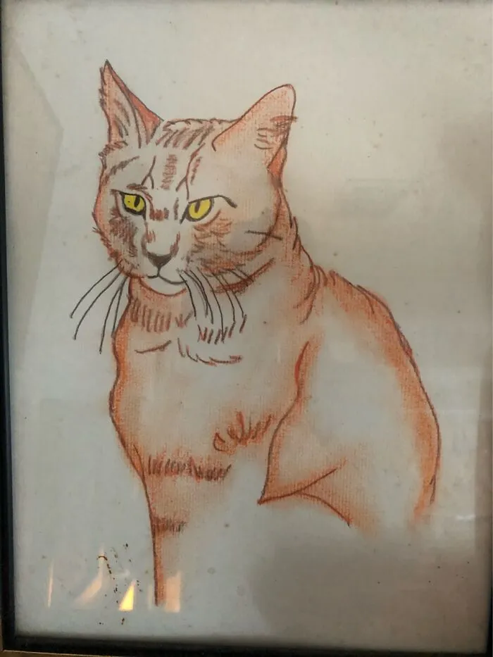 Here’s A Kitty For You