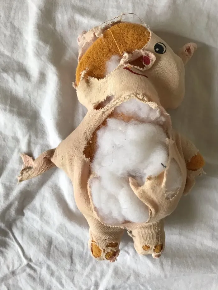 Luns, My Little Piggy Almost Loved To Death (He’s 39 Years Old Though)