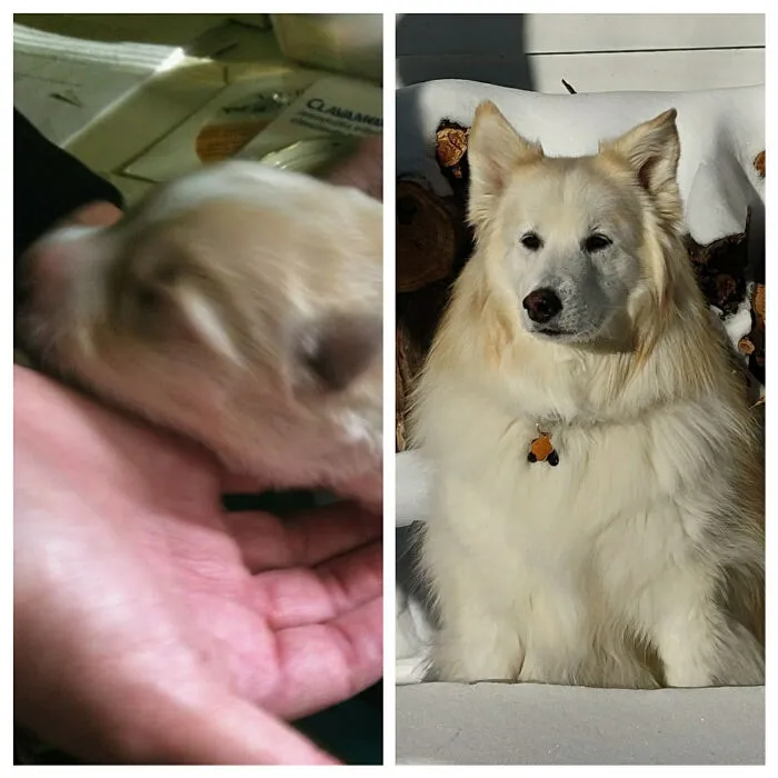 1 Week Old (Sorry It's Blurry) And 8 Years Old
