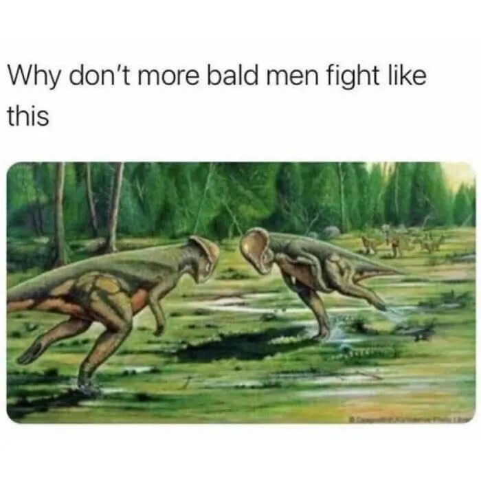 Battle!