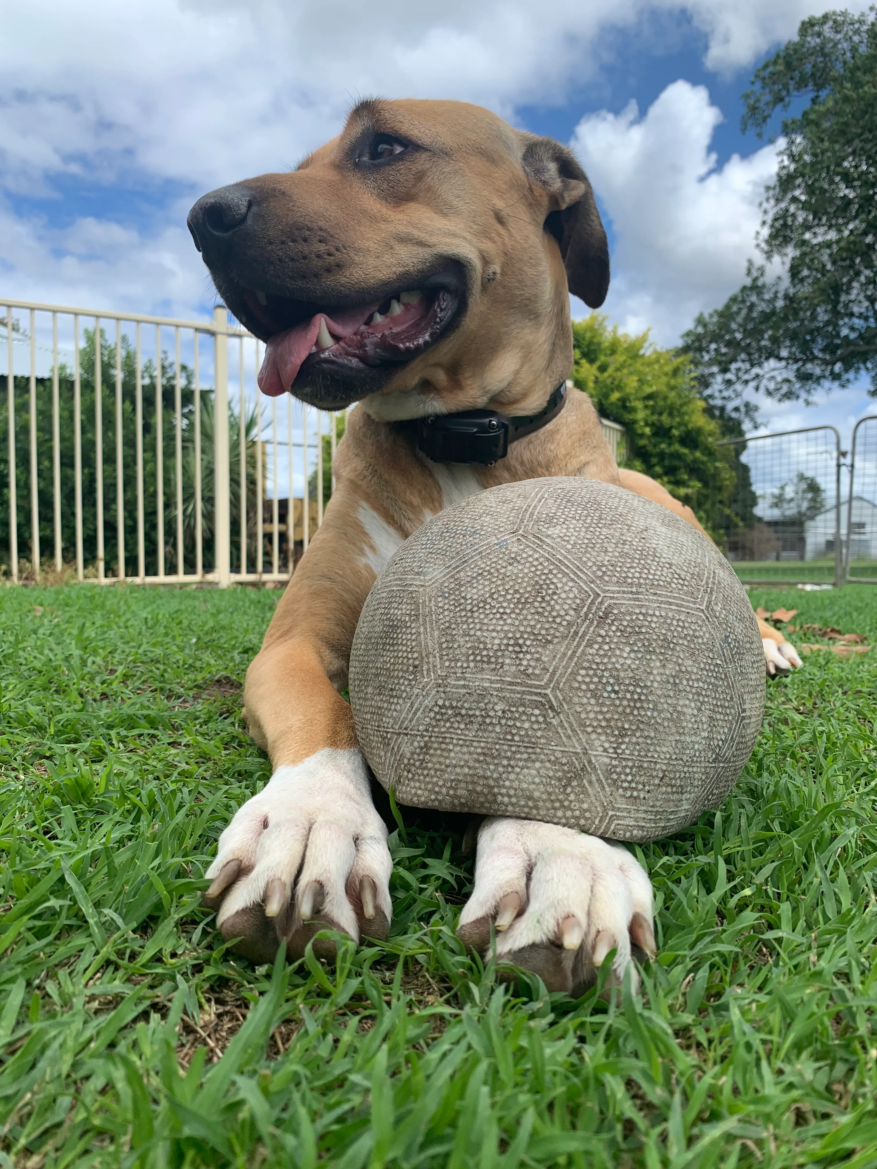 Miss Indi Girl