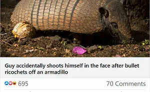 50 People Who Got What They Deserved, As Shared On The ‘Instant Karma’ Online Page