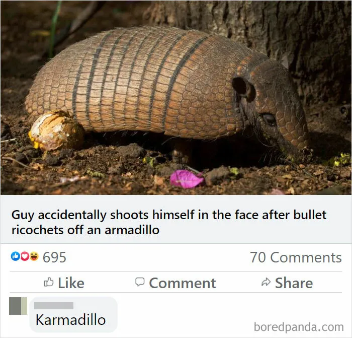 Karmadillo