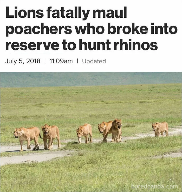 Got What They Deserved
