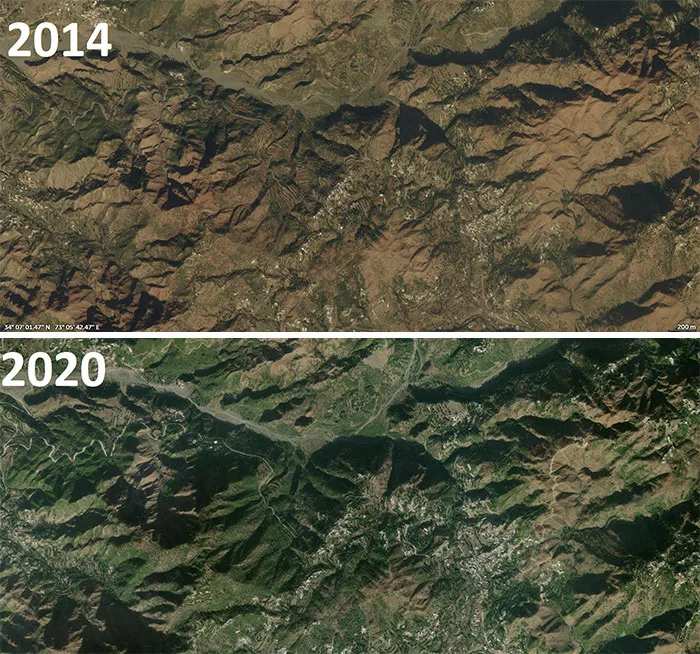 Tsunami del billón de árboles de Pakistan marcando la diferencia en sólo 6 años