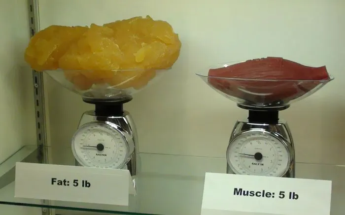 Esto realmente me ha impresionado. 2,3 kg de grasa vs. 2,3 kg de músculo