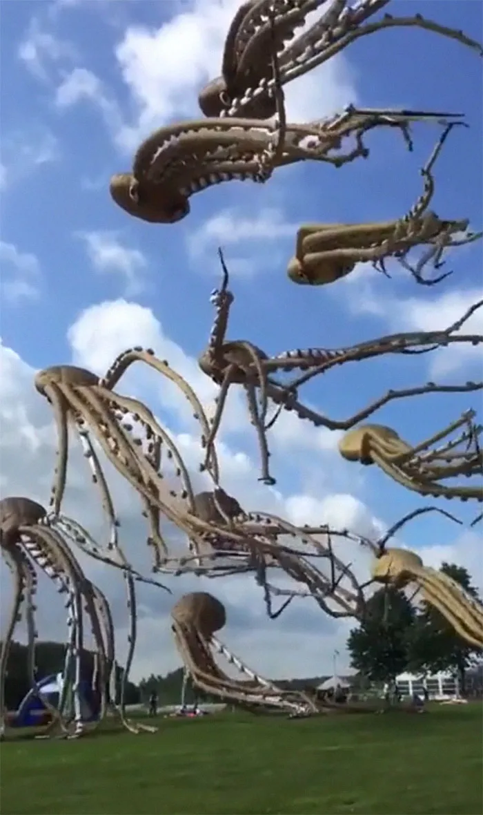 Necesito Una De Estas Cometas De Pulpo