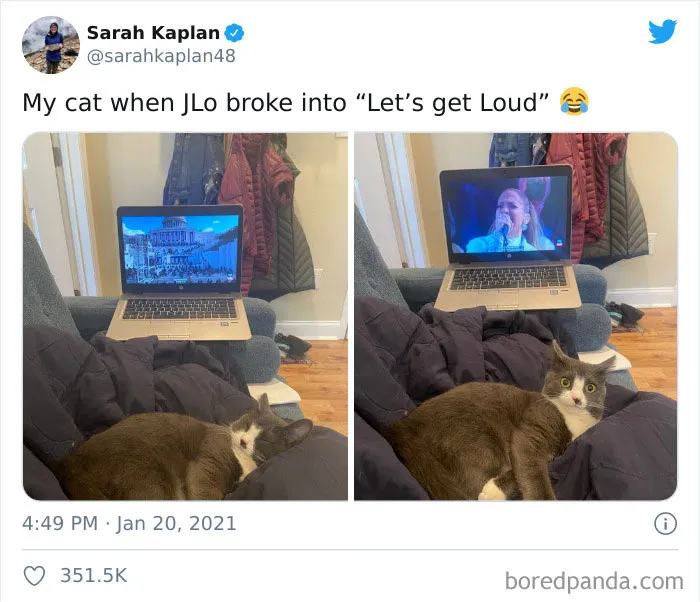 51 Of The Funniest Reactions To Inauguration Day