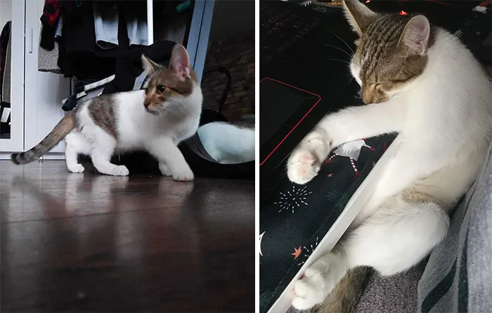 Only A Little Over A Month Has Passed, They Grow Up So Fast. Their Attitude Too