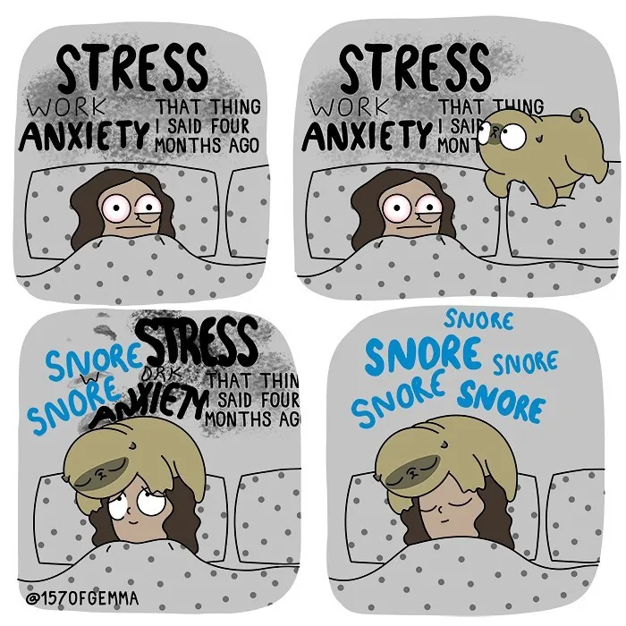 40 Adorable Comics That Hilariously Sum Up What It’s Like Living With A Dog By This Artist (New Pics)