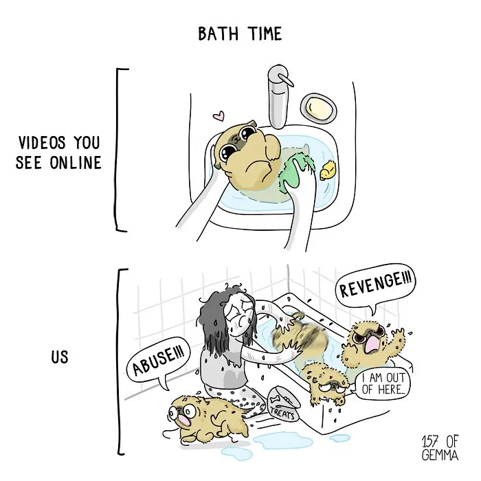40 Adorable Comics That Hilariously Sum Up What It’s Like Living With A Dog By This Artist (New Pics)