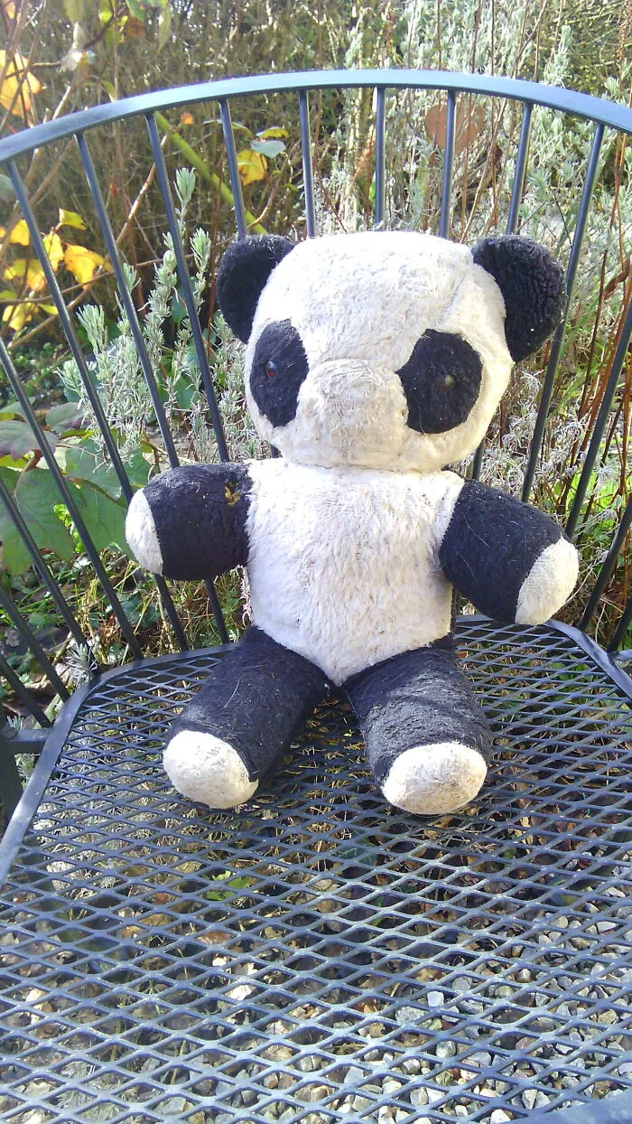 Miranda The Panda