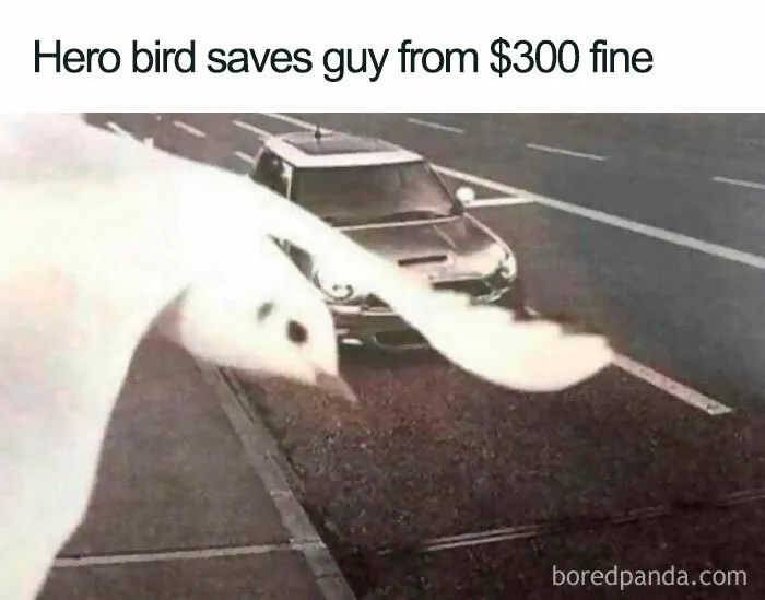 What A Close Call