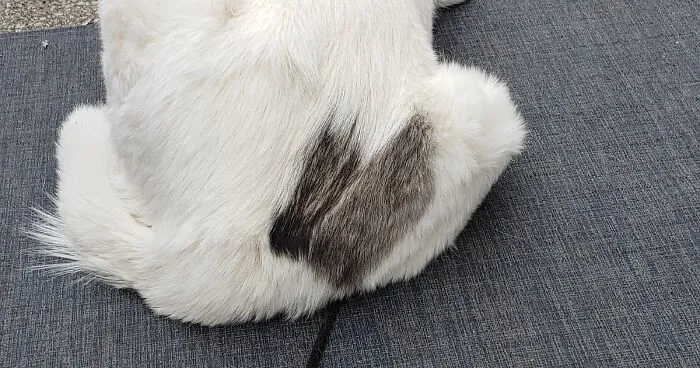 Pandas, Here's The Unusual Patches Challenge (Closed)