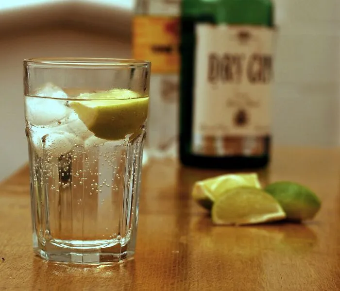 Malaria Responsable For The Creation Of Gin And Tonic