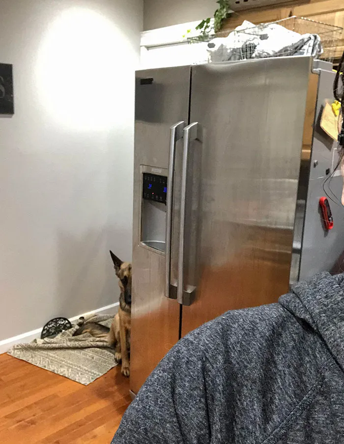 Making Dinner And Notice Someone Spying