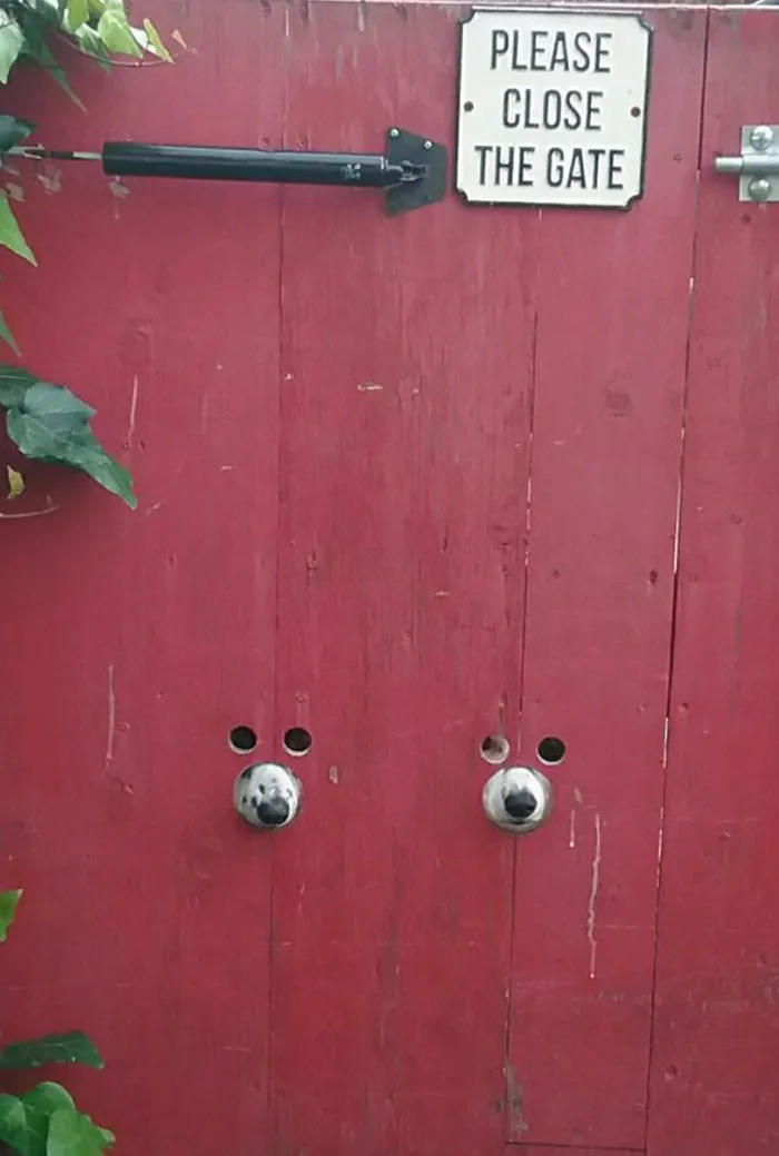 When Gates Have Eyes. And Wet Noses