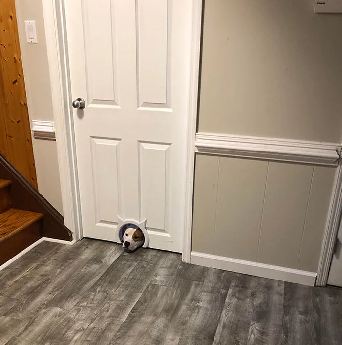 Peeping Through The Cat Hole