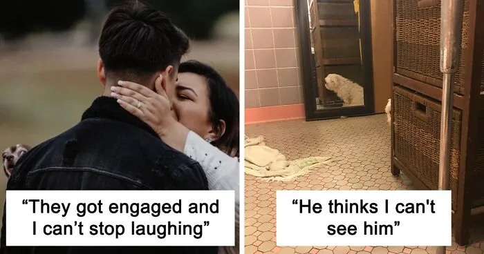 50 Times Dogs Just Had To Stick Their Nose Into Other People's Business