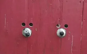50 Times Dogs Just Had To Stick Their Nose Into Other People's Business