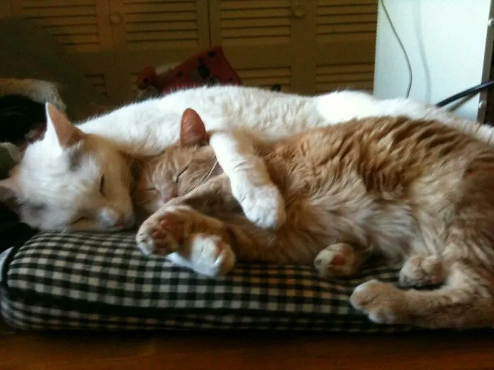 Yeah, Mom, We Really Do Love Each Other ...