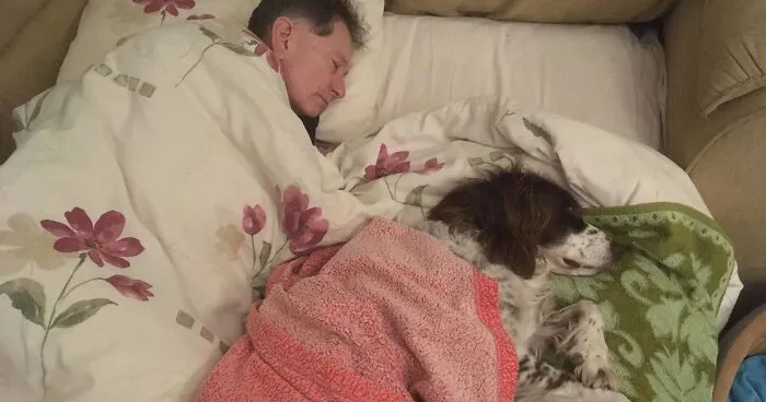 Adopted Dog Is Too Old And Sick To Sleep Upstairs, Family Takes Turns Sleeping With Him On the Couch Every Night