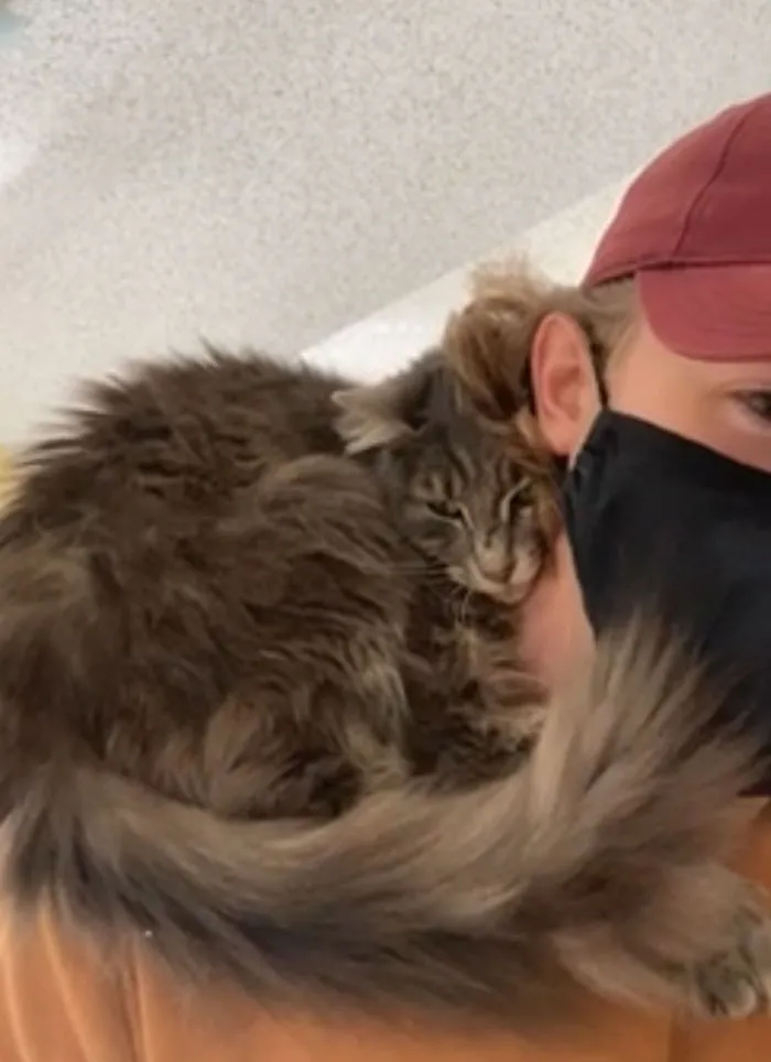 A Los 2 Segundos De Conocer Al Gato Que Estaba Adoptando, Se Subió A Mis Hombros