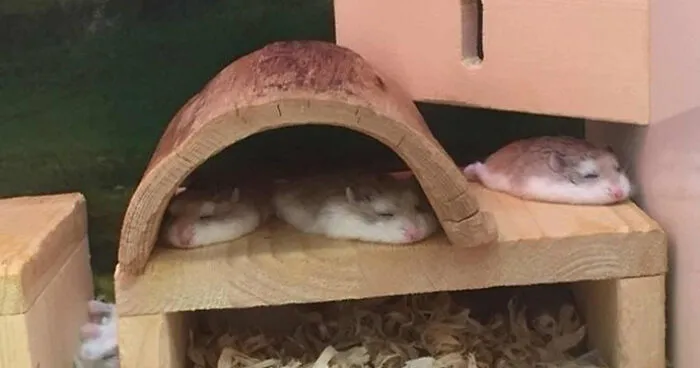Not Mine But Cute