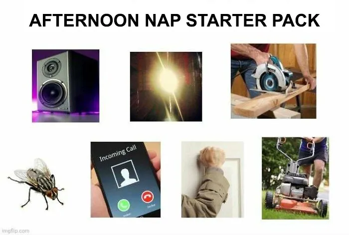 Having A Nap Starter Pack
