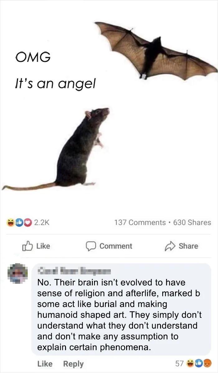 Stop The Assumptions Now