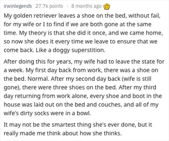 Doggie Superstition