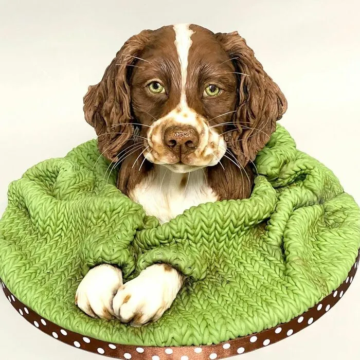 30 Beautiful And Realistic Cakes By This UK-Based Baker