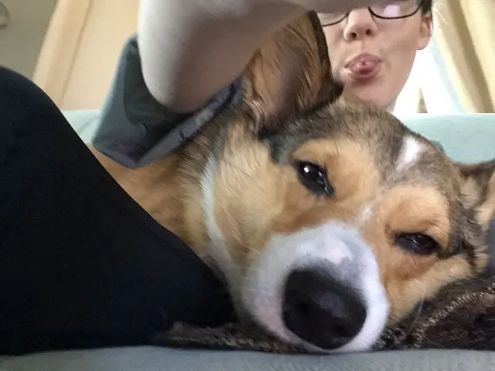 Sweety Is Sleepy After A Hard Day Of Doing Nothing. Oh The Tragedy!
