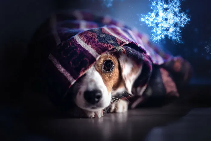 Cold