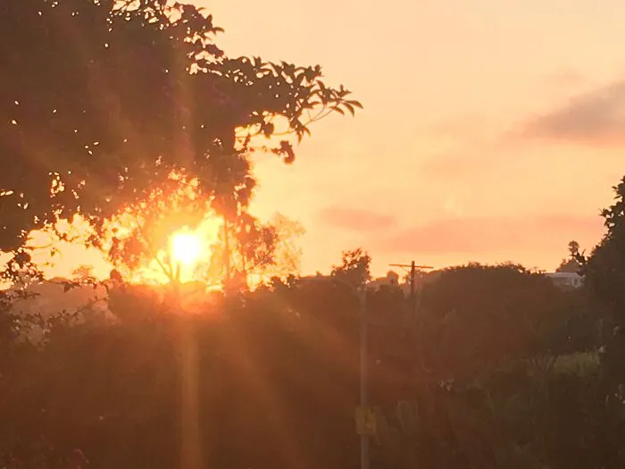 Sunset Near My House