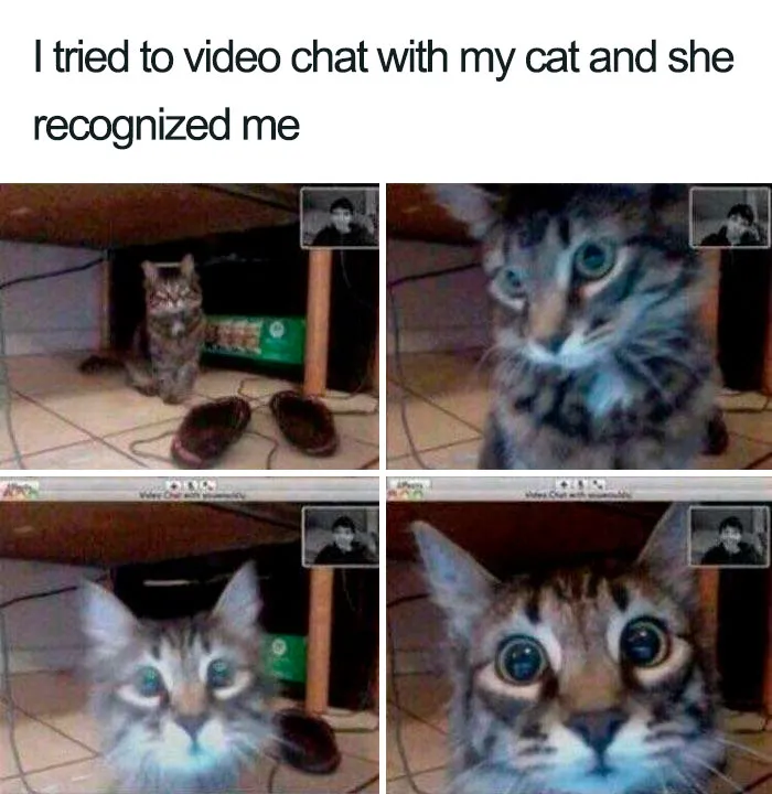 What Are You Doing There?