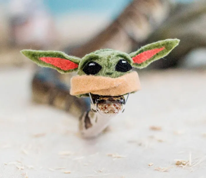 "The Force Is Strong With This One"