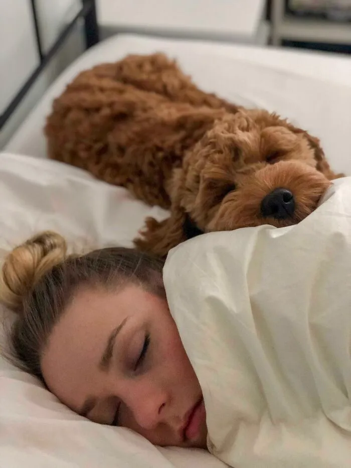 My Wife And Our Dog Marty As I Was Leaving For Work This Morning