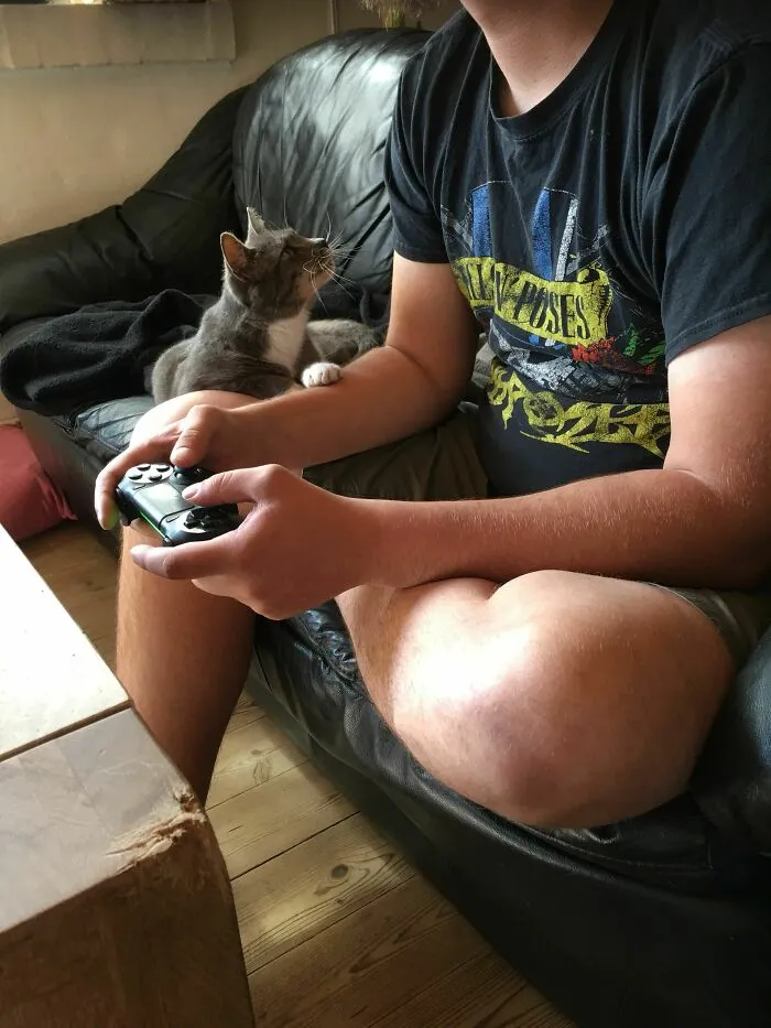 Mereces alguien en tu vida que te mire de la forma en que mi gato mira a mi novio