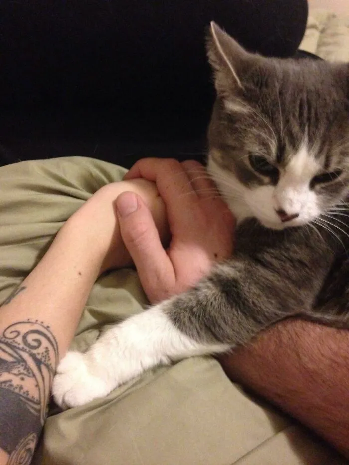 GF And I Were Holding Hands. Then This Happened