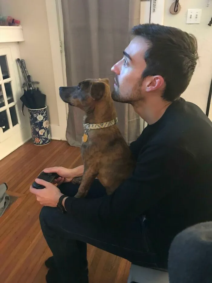 Mi novio y mi perro jugando a videojuegos