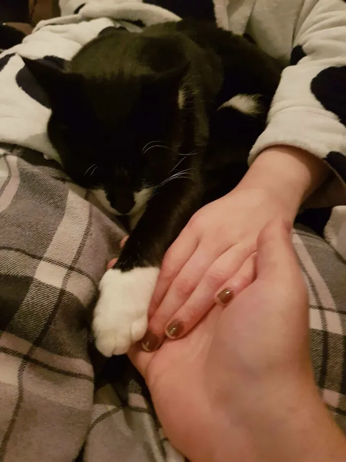 Mi novia y yo nos damos la mano mientras vemos la tele. Hoy me parecía algo más peluda de lo normal
