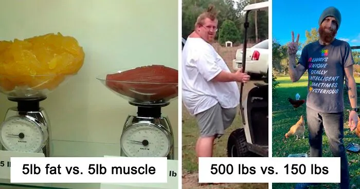 50 Interesting Comparison Images To Give You A New Perspective On Things