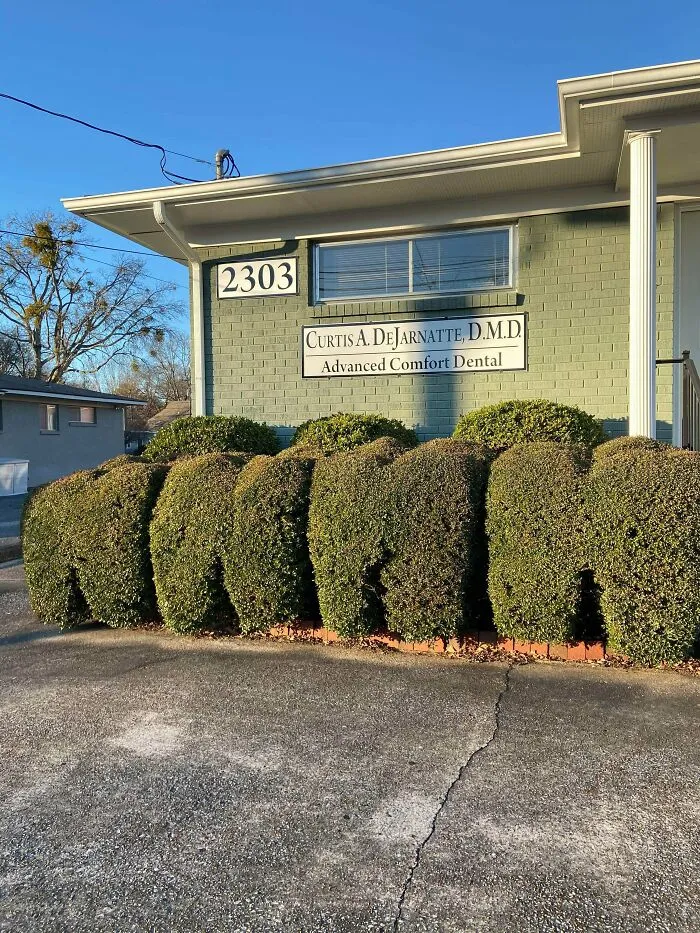 This Dental Office Trims Their Shrubs To Look Like Molars