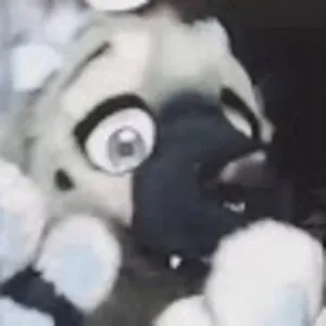 Alpha Wolf