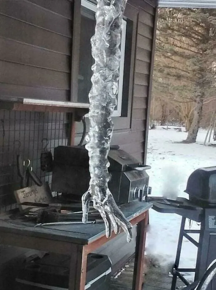 Sometimes Mother Nature Can Be Creepy (Chesaning, Mi)