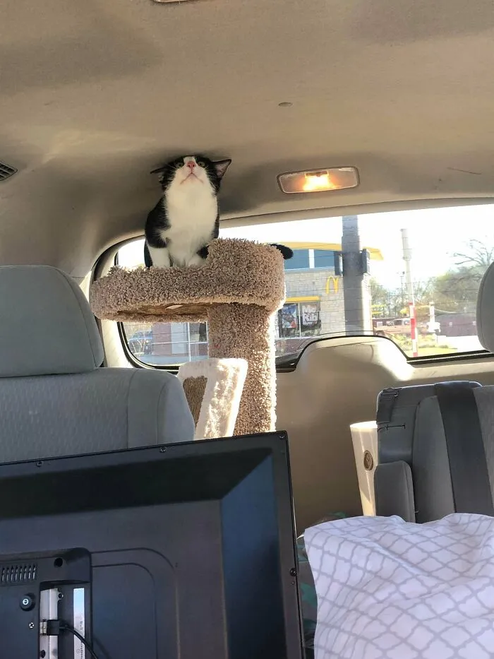 Not Sure How Ben Feels About The Car Ride