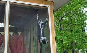 50 'Mildly Interesting' Things Spotted In Nature That Are Actually Surprising (New Pics)