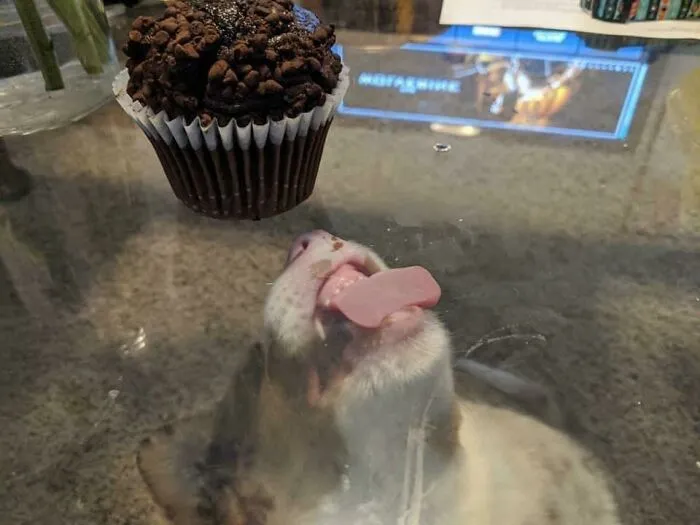 So Close, Yet So Far...