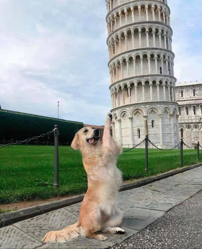 She's The Only Thing Keeping The Tower From Falling.